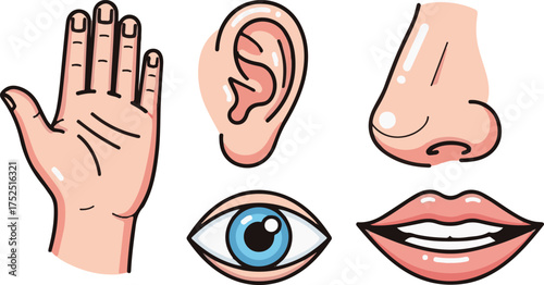 Cartoon Illustrations of Five Senses Human Body Parts Collection