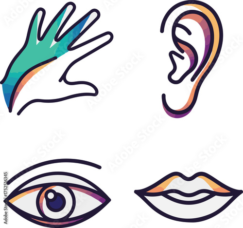 Colorful Minimalist Vector Illustration of Human Senses Icons on White Background