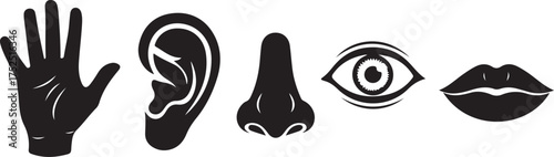 Black Silhouettes of Five Human Senses Vector Icons