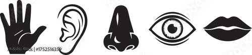 Minimalist Black Silhouette Vector Set of Five Human Senses