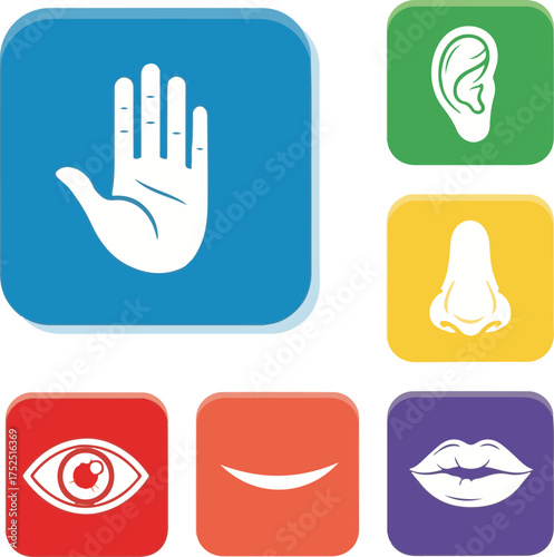 Flat Vector Icons of Human Senses on Colorful Rounded Squares