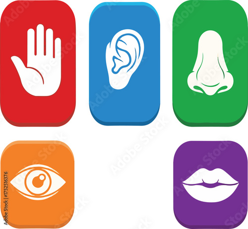 Colorful Five Senses Symbols in Modern Flat Style Design