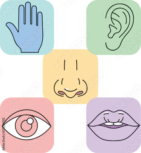 Cute Stylized Human Senses Icons in Pastel Rounded Squares