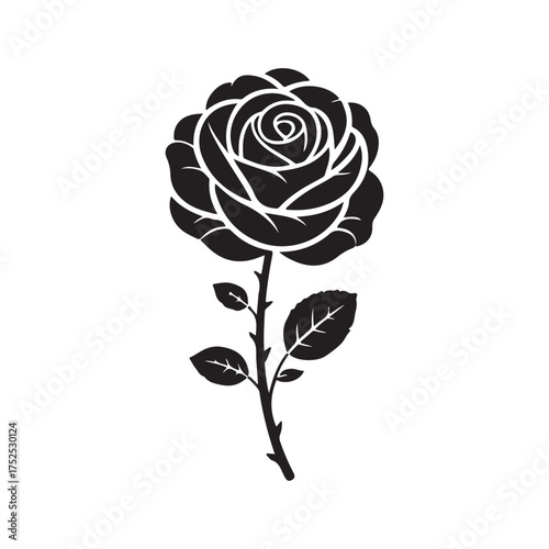 Black Rose Floral Silhouette