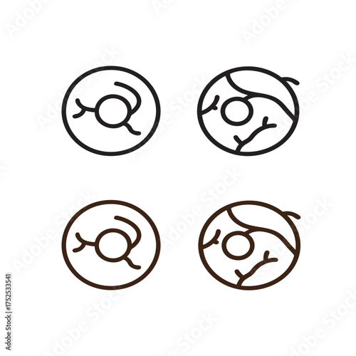 Minimal Eye Anatomy Icon Set: Circular Eye Diagrams in Black and Brown for Design Projects
