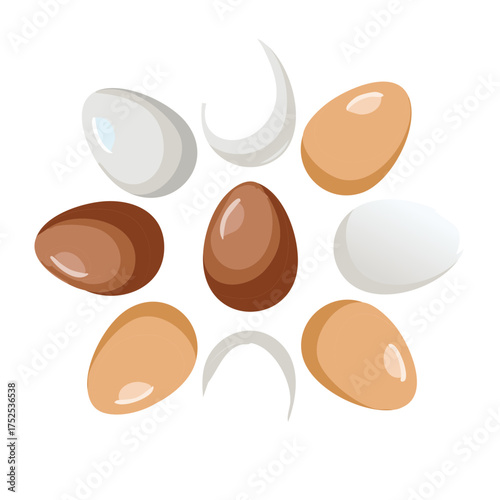 Various Shapes and Shades of Chicken Eggs, Including Brown, White, and Spearmint, Ready for Basket or Dish - Vector Illustration