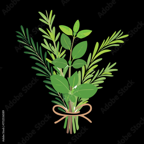 Neat bunch of fresh green herbs, possibly thyme or marjoram, tied simply, a classic culinary staple for soups, stews, and roasted meats - Vector Illustration