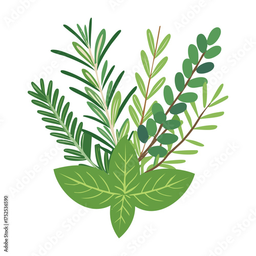 Bright green sprigs of fresh dill and rosemary herbs, tied together, essential for seasoning fish, poultry, potatoes, and other Mediterranean dishes - Vector Illustration