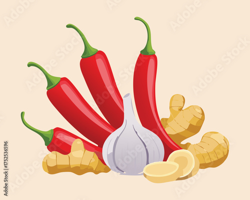 Fresh red chili peppers, white garlic bulb, and a piece of ginger, a potent mix of warming spices and pungent vegetables for robust seasoning - Vector Illustration
