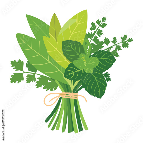 A healthy bundle of green culinary herbs, including parsley and possibly cilantro, tied neatly, perfect for a fresh ingredient grocery advertisement - Vector Illustration