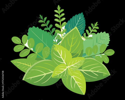 Large, overflowing cluster of vibrant green mint leaves, depicting a potent and refreshing garden herb, ideal for natural food and drink concepts - Vector Illustration