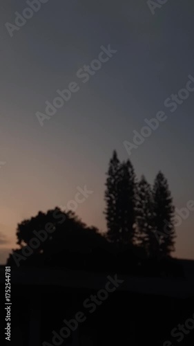 blurry evening sky sunset with trees