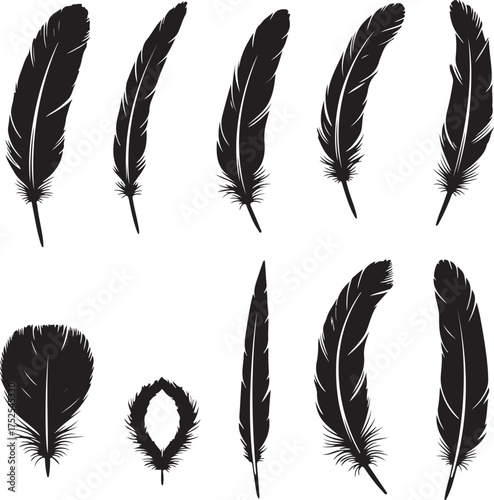 Ink Feather Silhouette: A collection of elegantly rendered feathers, their intricate shapes and textures captured in striking silhouette, offer a touch of beauty and symbolism.