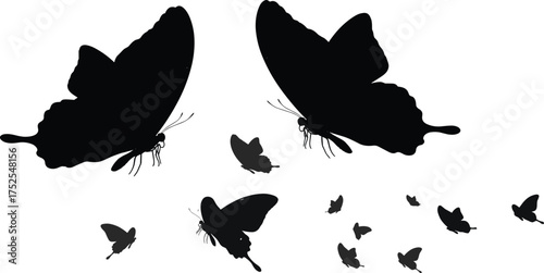Flying butterfly silhouettes collection, black and white butterfly vector illustration, group of butterflies in flight, nature design element art
