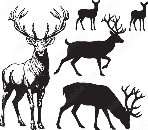 Majestic Deer Silhouettes: An artful composition showcasing a collection of deer in various poses, capturing the essence of these magnificent creatures. 