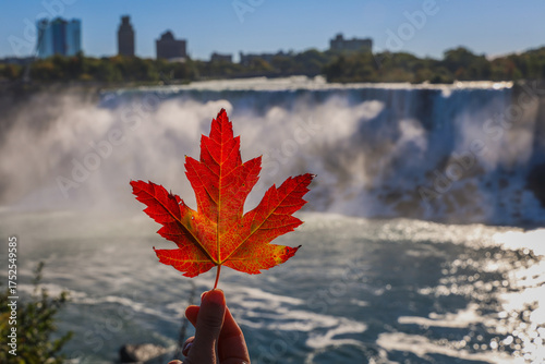 canadian maple leaf in niagara falls