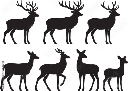 Deer Silhouette Collection: A selection of deer silhouettes.