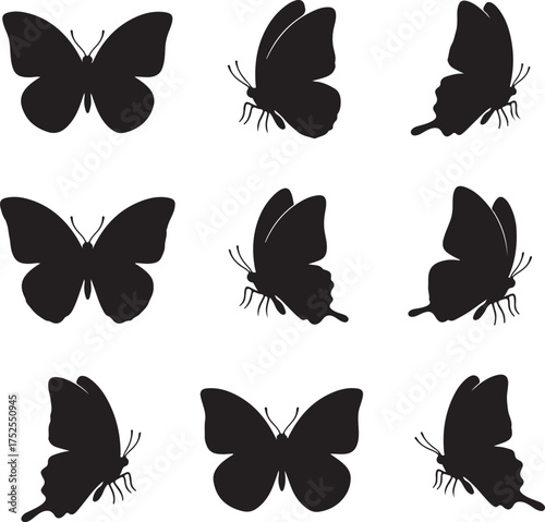 Butterfly Silhouette Array: An elegant array of butterfly silhouettes showcases the delicate beauty of nature's wings in a monochromatic, artistic display.