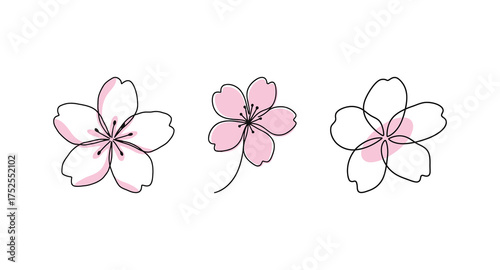 Set of Minimalist Cherry Blossom Flower Line Art with Pink Color Accent, Hand Drawn Floral Illustration