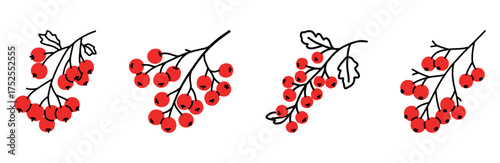 Set of Minimalist Red Berry Branch Line Art, Hand Drawn Winter or Autumn Fruit Illustration