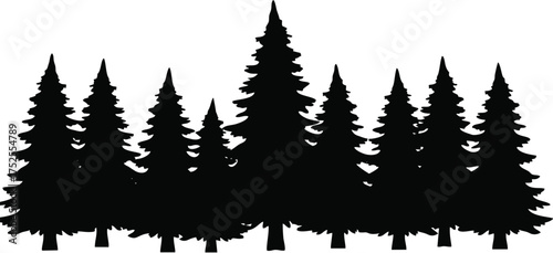 Silhouette of a row of evergreen trees, with a taller tree in the center.
