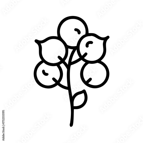 Illustration of a bunch of berries