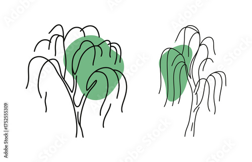 Continuous line art drawing of two weeping willow trees with green abstract shapes, nature, park, and botanical elements vector illustration.