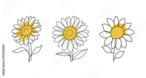 Continuous line art drawing of three sunflowers with bright yellow centers, summer, floral, and botanical vector illustration set.