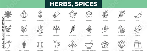Spices, condiments, and herbs line icon set featuring jars, clip art, wellness, essential, drawing, medicine, ,and seasoning elements for food,  and packaging design.