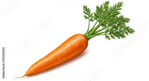 carrots isolated on white background