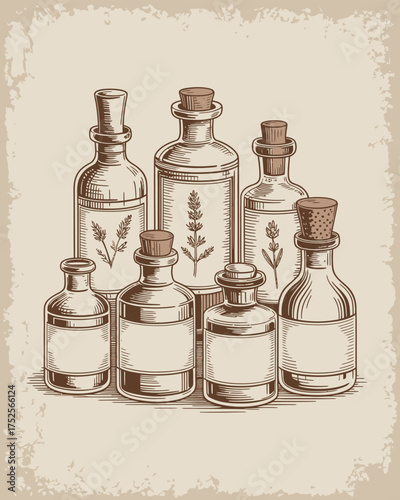 Vintage Apothecary Bottles with Herb Labels and Old-Fashioned Illustration
