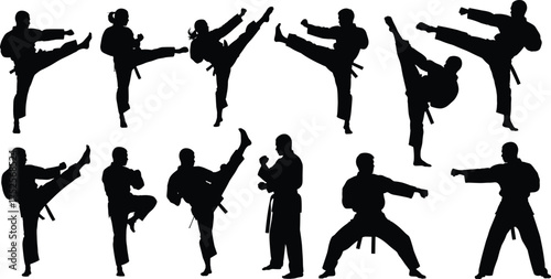 Martial arts silhouette, karate kick pose, taekwondo stance, self defense motion, black belt training, fighter action, dojo discipline, combat skill