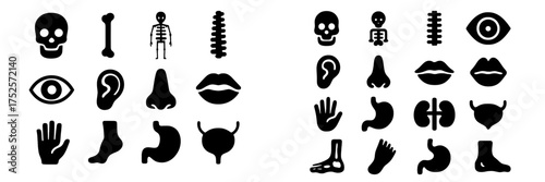 Collection of simple black icons representing human anatomy and body parts arranged in a grid format