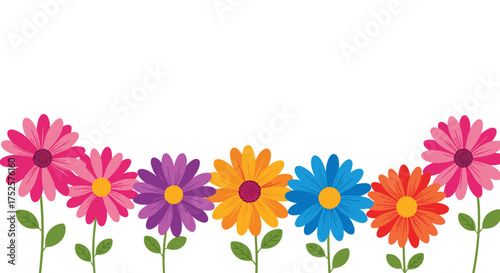 A colorful border of daisy flowers blooming in springtime.