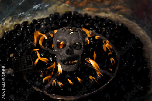 Skull on fire