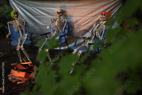 Skeletons camping with marshmallows