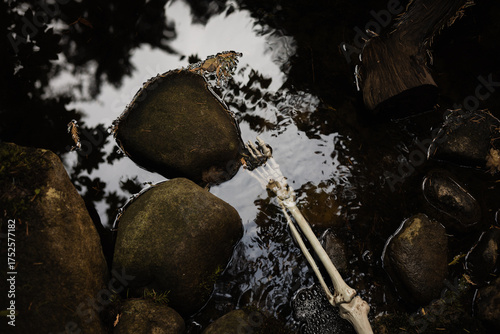 Floating skeleton arm