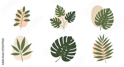 A curated collection of tropical leaf illustrations in a minimalist abstract style.