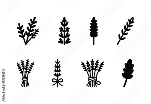 Black/White Lavender Icons Set (Sprigs & Bundles). Herbs, Essential Oils, Aromatherapy, Spa, Relaxation, Botanical Elements. Solid & Line Art.