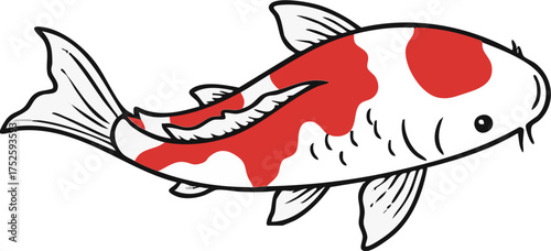Koi Fish Illustration