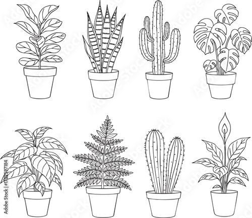 A collection of eight different potted houseplants in a black and white line art illustration style.