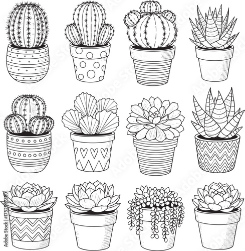 A collection of handdrawn black and white cacti and succulent illustrations in decorative pots.