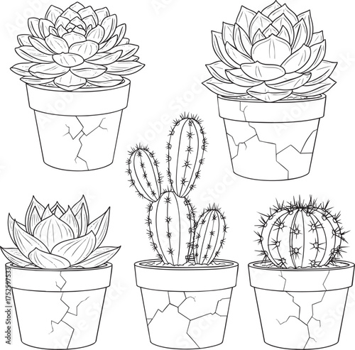 A collection of handdrawn succulent and cactus plants in cracked pots black and white line art.