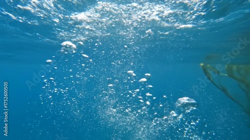Underwater Bubbles Rising from Boat.