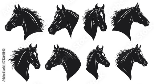Horse head silhouettes set isolated on white background vector illustration