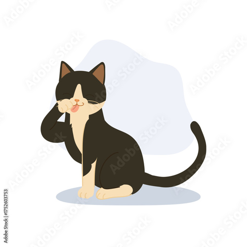 black and beige cartoon cat grooming paw. adorable tuxedo cat licking its paw. for pet lovers and cat themed designs