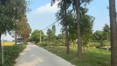 青空の下で回るカラフルな風車と穏やかな風景