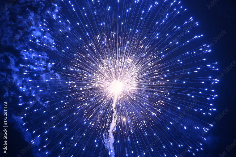 Fototapeta premium 夜空を彩る花火