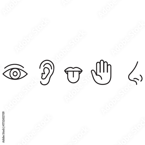 Five human senses vector illustration