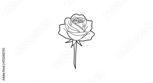 Elegant hand drawn line art single rose flower emblem delicate petals and stem isolated on white silhouette